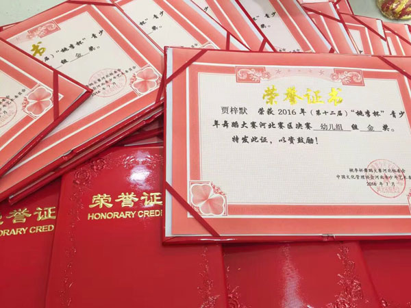 桃李杯金奖荣誉证书