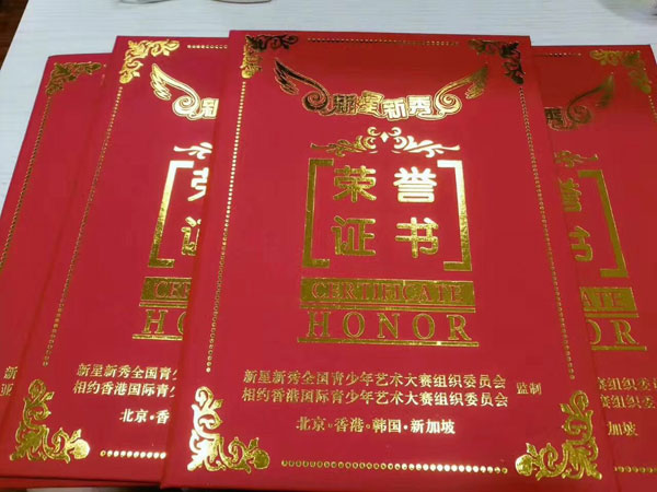 新星新秀&nbsp;荣誉证书