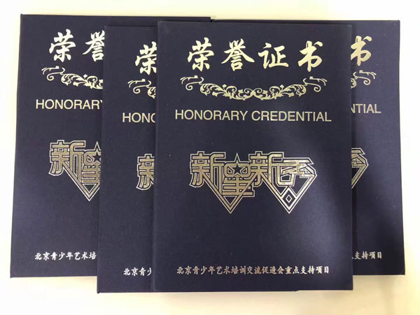 荣誉证书新星新秀